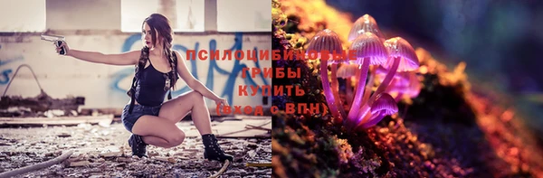 стафф Белокуриха