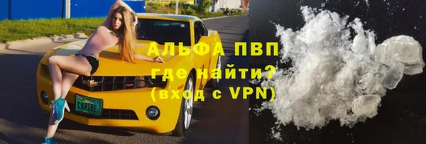 стафф Белокуриха