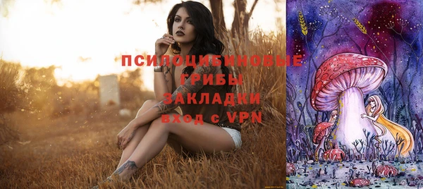 спиды Балахна