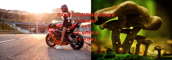 стафф Белокуриха
