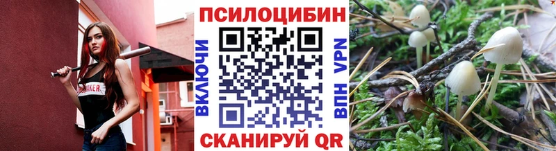Псилоцибиновые грибы MAGIC MUSHROOMS  Катав-Ивановск 